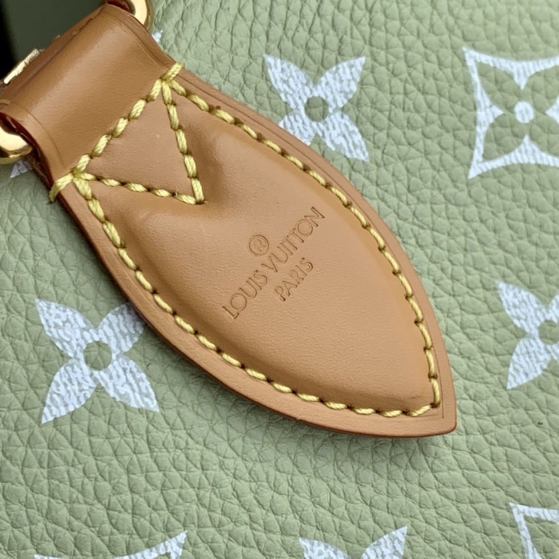 LV Speedy Bags